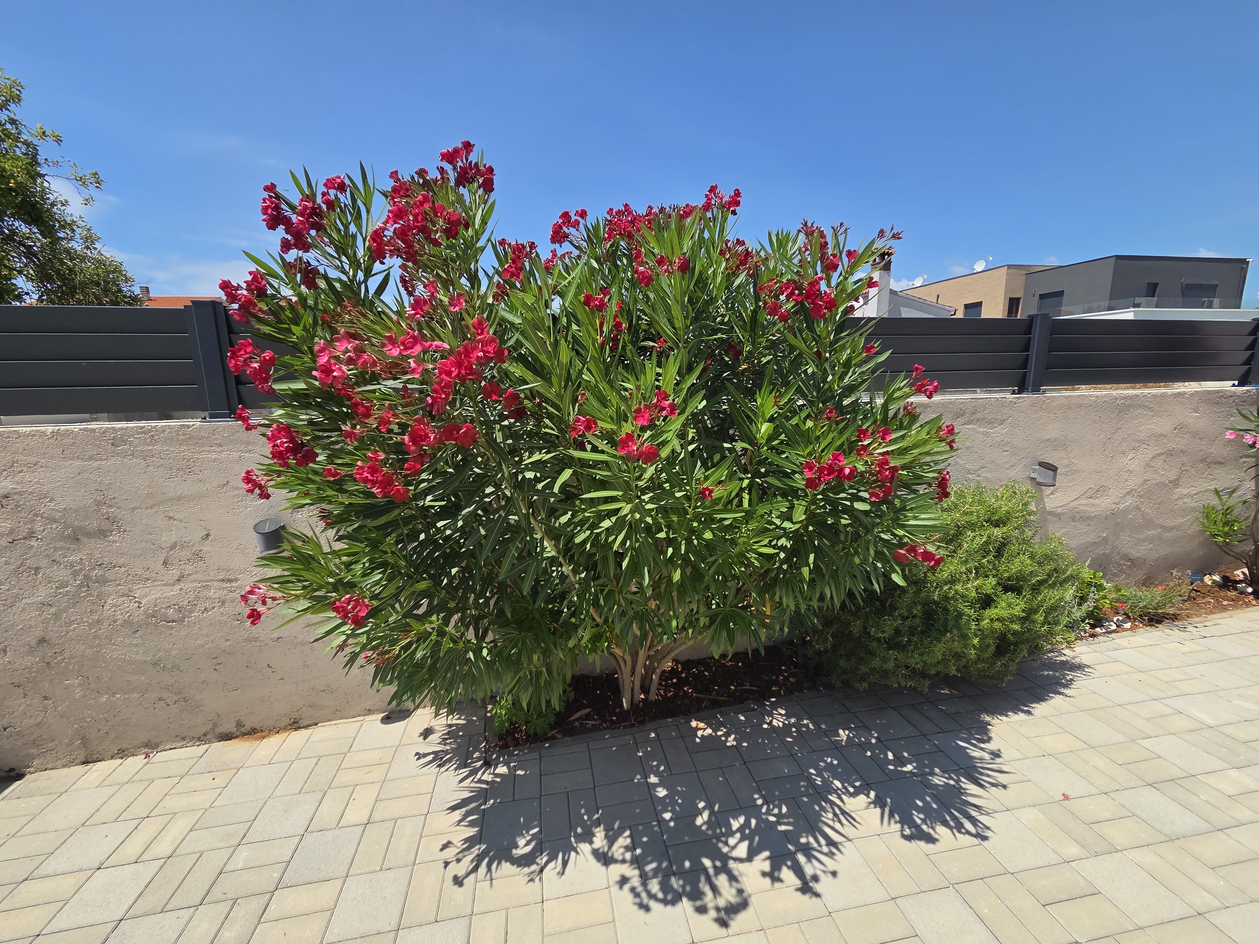 Dvorište Ville Doris 3